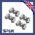 Wheel Nut Set Of 20 For Ford Transit Connect 1.5 1.6 2013 On Solid Chrome