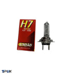Halogen Headlight H7 Car Bulb (477/499) 12V 55W Px26D