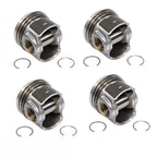 Pistons For Ford Transit Mk8 Custom 2.0 Ecoblue 2016 On Adblue Std Set Of 4