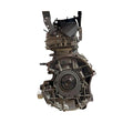 Brand New Engine For Ford Transit Mk8 Custom Ecoblue 2.0 Euro 6 Fwd Tdci 2016 On