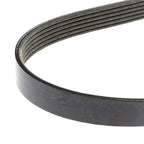 Drive V Belt For Ford C-Max Galaxy S-Max Wa6 Mondeo Mk4 Focus Mk3 1701514