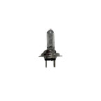 Halogen Headlamp Bulb For Ford Galaxy Mondeo Ka Kuga C-Max B-Max 1995 On Per 10
