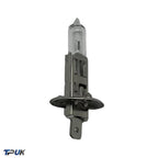 Headlight Fog Bulbs 1 448 12V 55W P14.5S Single Pin Per 10
