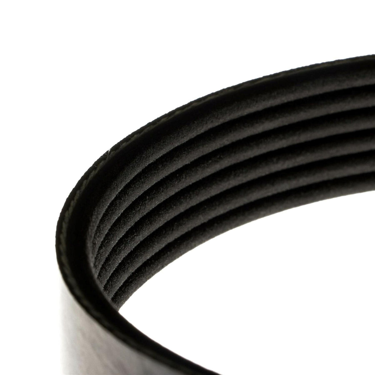 Fusion Drive V Belt For Ford C-Max Mk2 Focus Mk3 Fiesta Mk5 Mk6 1539585