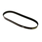 Fusion Drive V Belt For Ford C-Max Mk2 Focus Mk3 Fiesta Mk5 Mk6 1539585