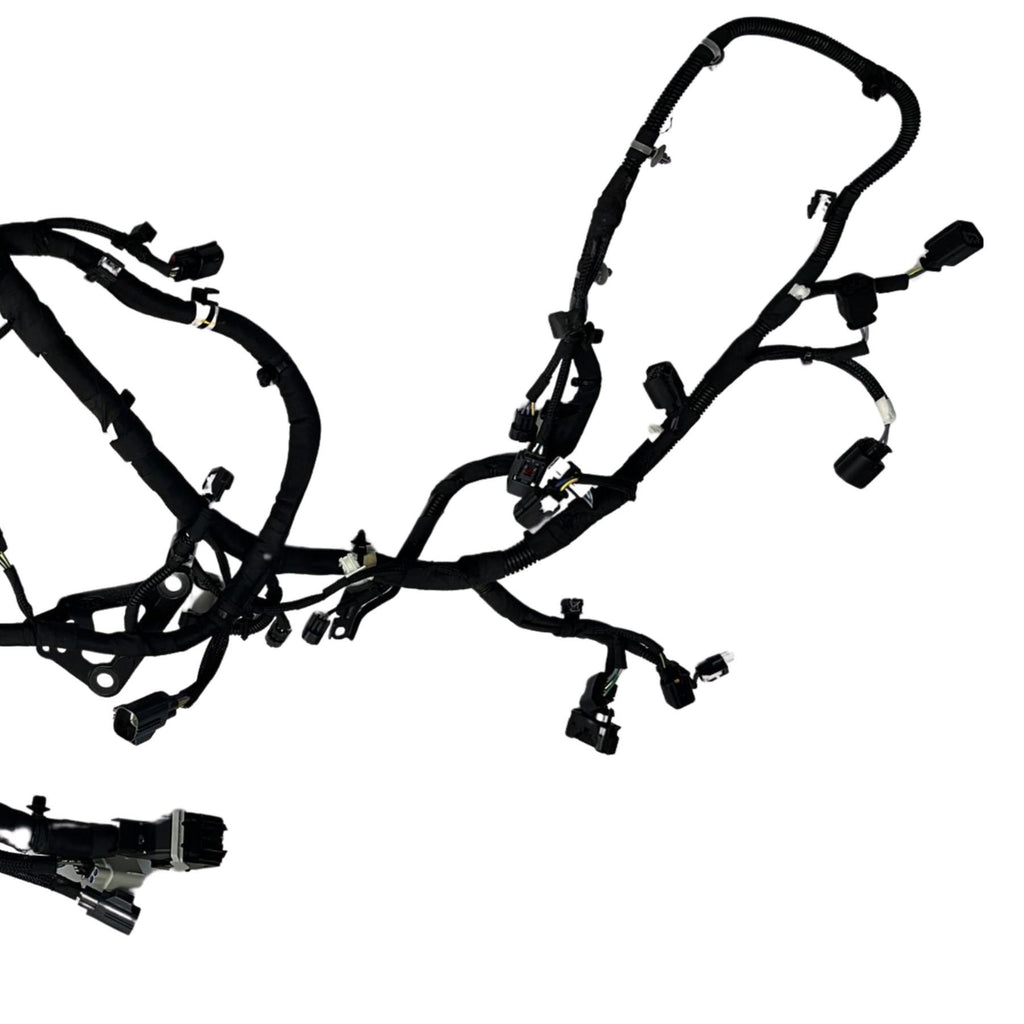 Engine Wiring Loom Harness For Ford Focus 2.0 2019 On Jx6T-12C508-Cdc