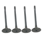 ENGINE EXHAUST VALVE SET FOR FORD FIESTA B-MAX FOCUS 1.4 1.5 1.6 TDCI EURO 5 PER 4