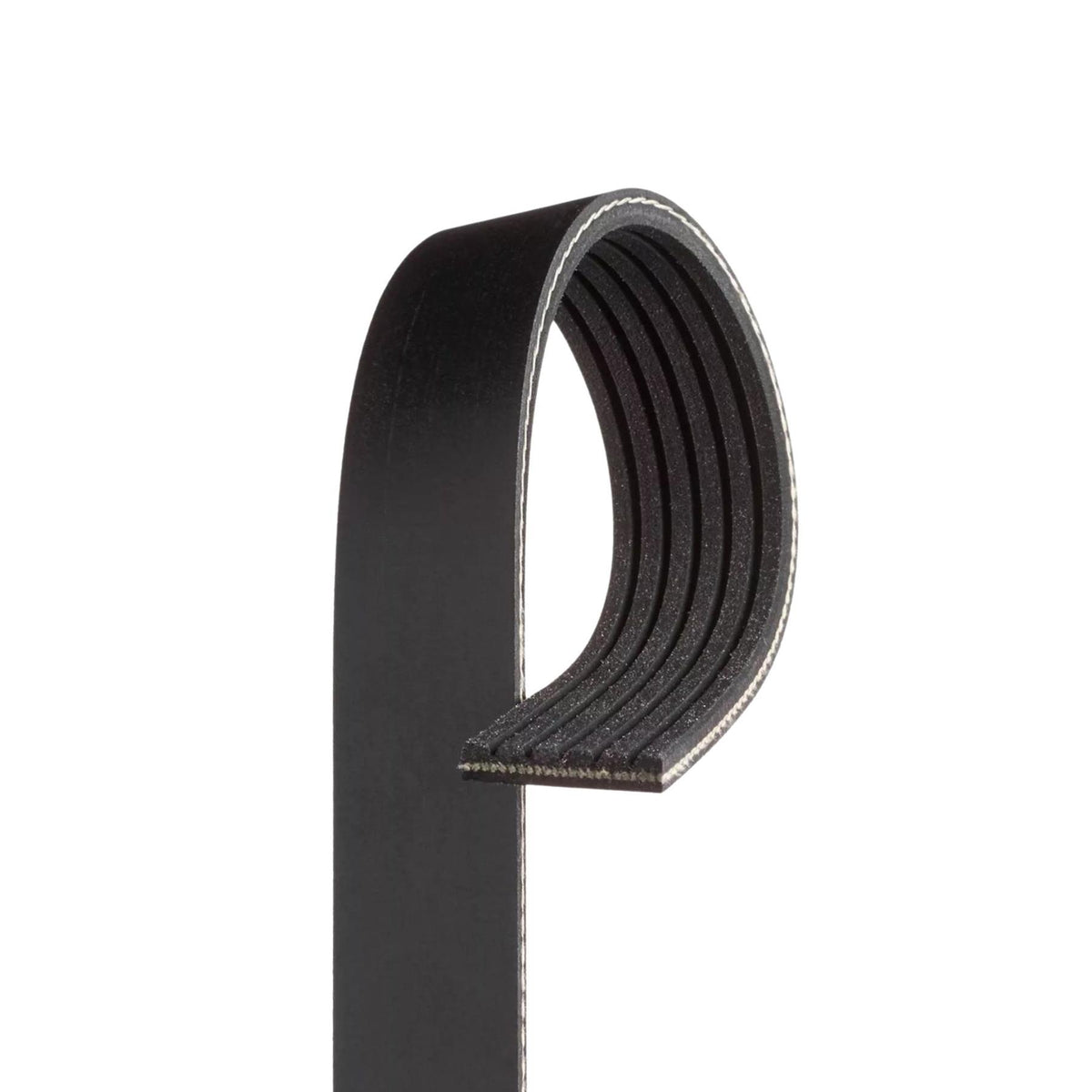 Drive Belt For Ford Transit Fiesta Fusion Ecoblue 2016 On 6 Ribs 2361315