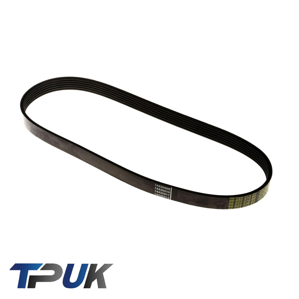 Fusion Drive V Belt For Ford C-Max Mk2 Focus Mk3 Fiesta Mk5 Mk6 1539585