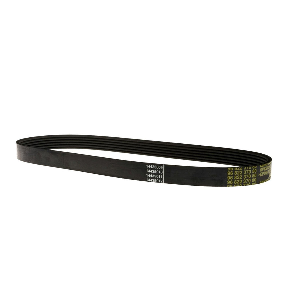 Fusion Drive V Belt For Ford C-Max Mk2 Focus Mk3 Fiesta Mk5 Mk6 1539585