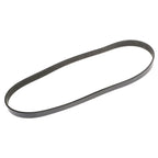 Drive V Belt For Ford C-Max Galaxy S-Max Wa6 Mondeo Mk4 Focus Mk3 1701514
