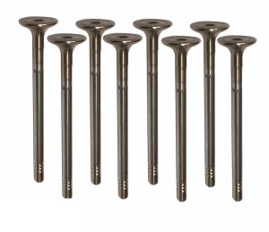 LDV CONVOY 2.4 MK6 MK7 2.4 LAND ROVER DEFENDER TX11 TX2 EXHAUST VALVE SET OF 8