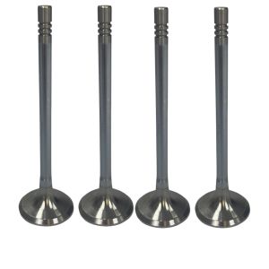 ENGINE EXHAUST VALVE SET FOR FORD FIESTA B-MAX FOCUS 1.4 1.5 1.6 TDCI EURO 5 PER 4